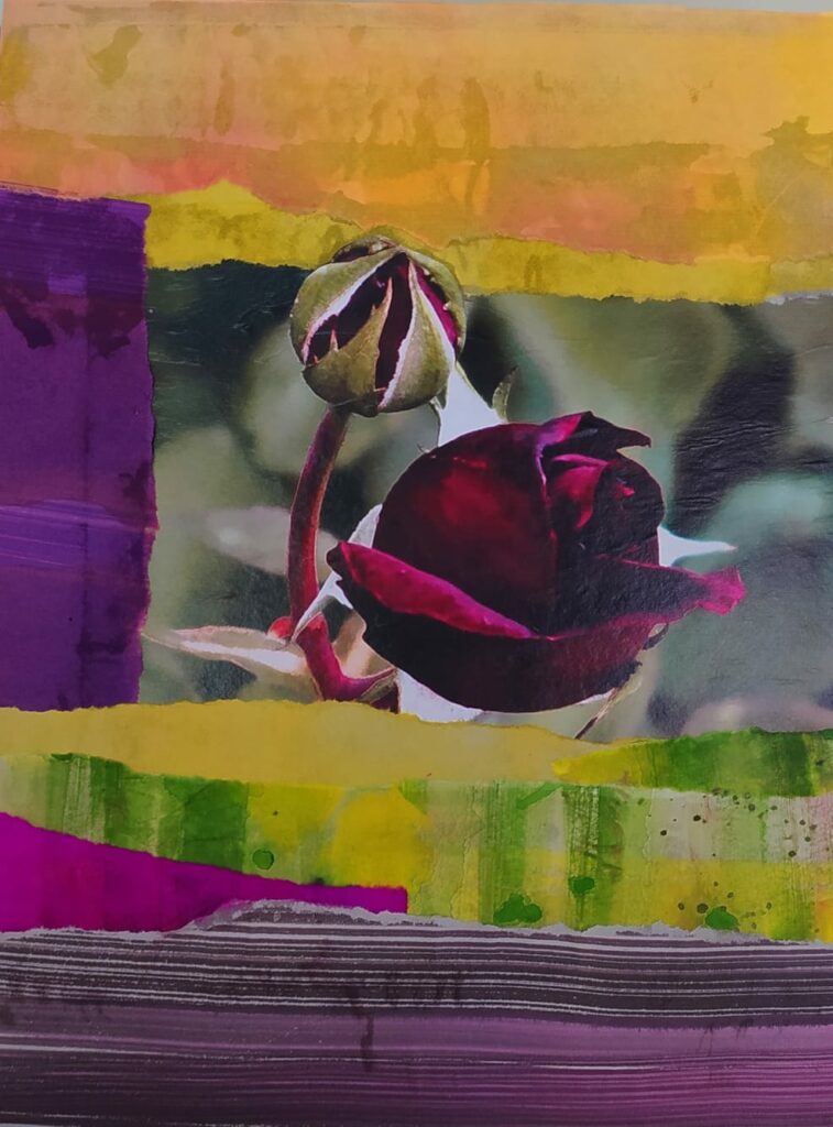 collage-sobre-carton-flor